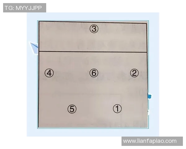 杭州排球队反击战术深度解析与实战应用探讨