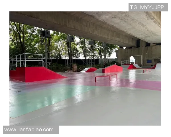 极限运动的边界探索：揭秘杭州极限运动队的全方位压制策略与挑战