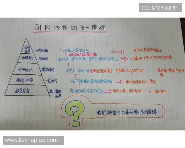 北京排球队灵活性变革引发热议探索新战术与团队协作的未来发展