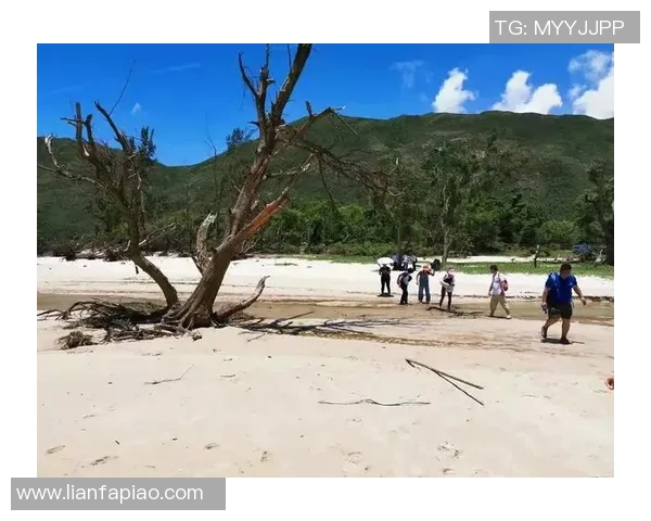 南京乒乓球队耐力训练的挑战与突破探索之旅