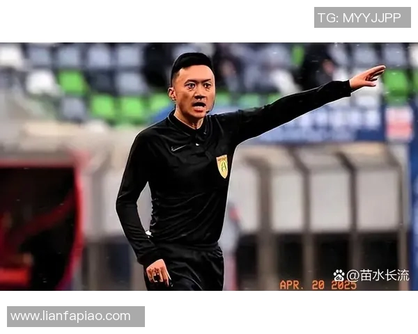 鲁能与国安比赛裁判争议引发热议球迷与专家各执己见