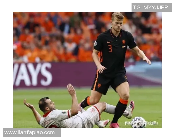 葡萄牙与瑞典精彩对决高清回放及赛后分析